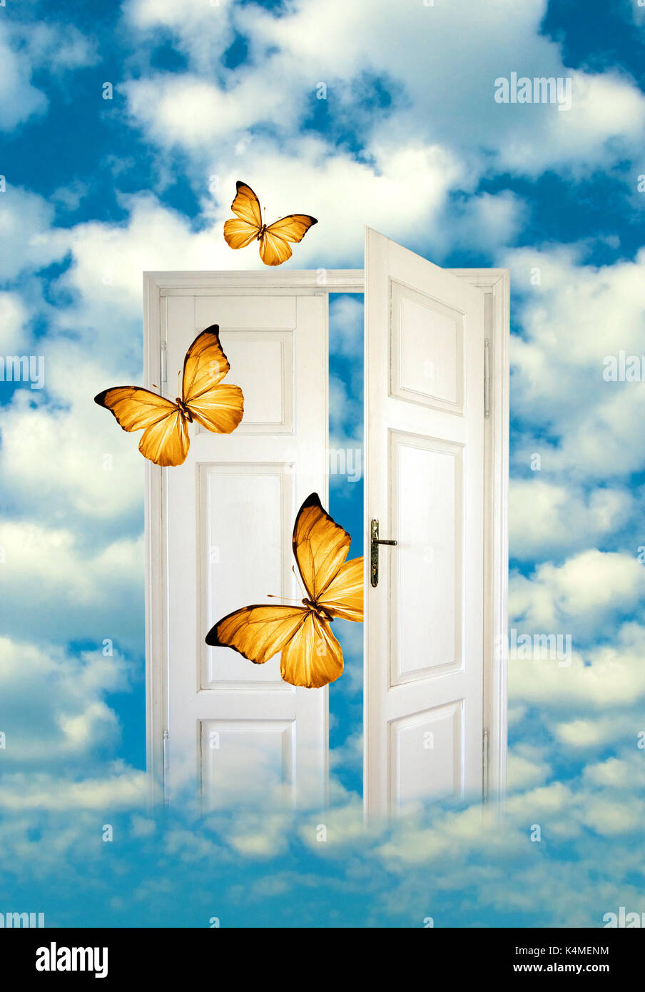 Schmetterlinge fliegen aus einer weißen Tür in den Himmel Stockfoto