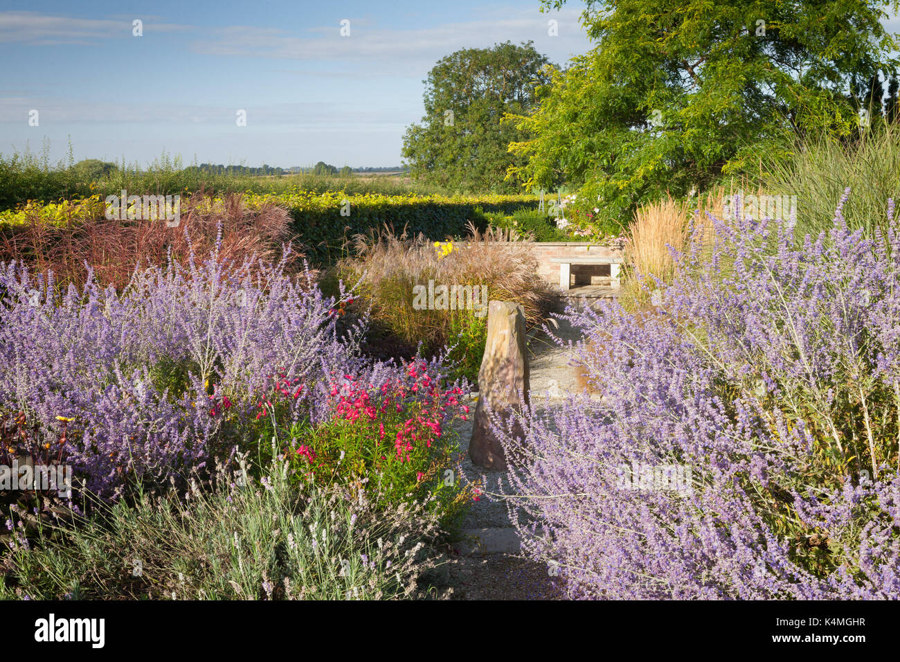 Brightwater Gärten, Saxby, Lincolnshire, Großbritannien. Sommer, August 2017. Stockfoto