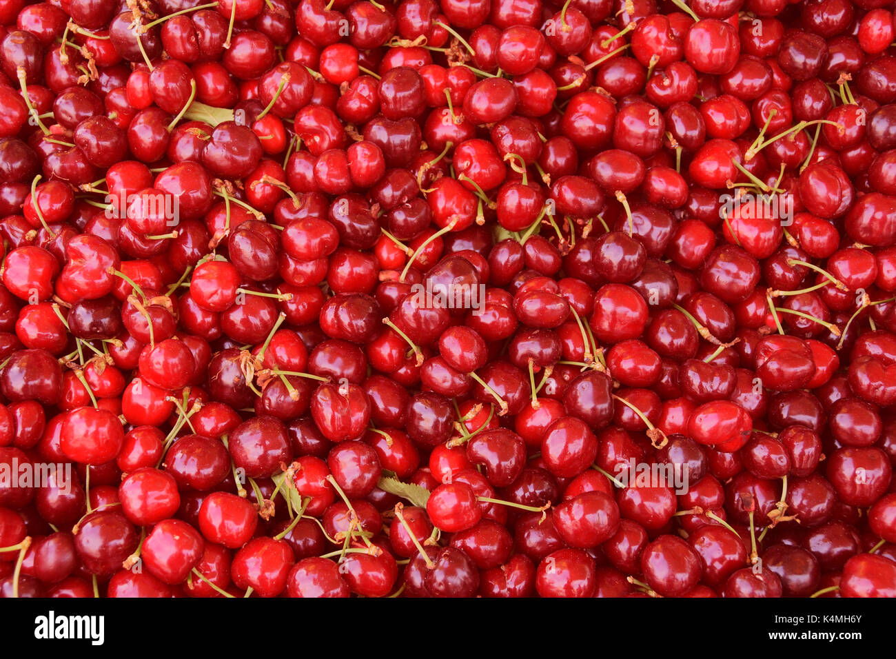 Stapel von Kirschen frisches Obst Hintergrund Textur. Stockfoto