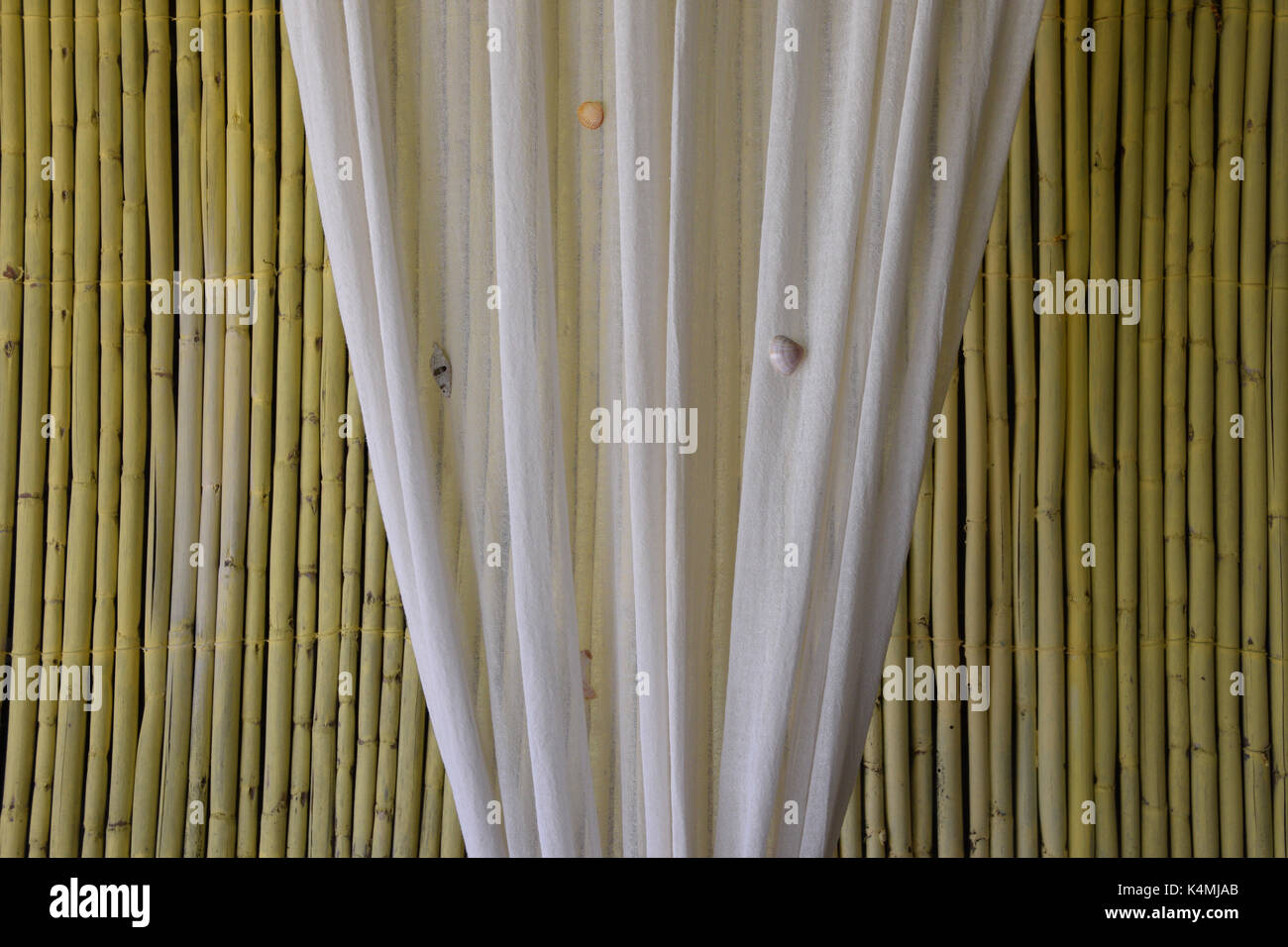 Vorhang mit Muscheln und Bambus Zweige Hintergrund. Dekoration mit natürlichen Materialien. Stockfoto