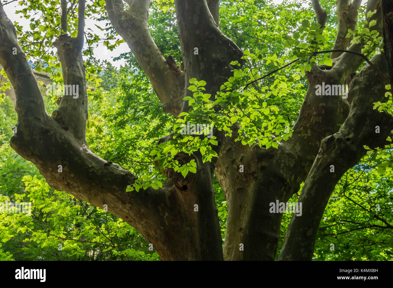 Landschaft der französischen Alpen. Stockfoto