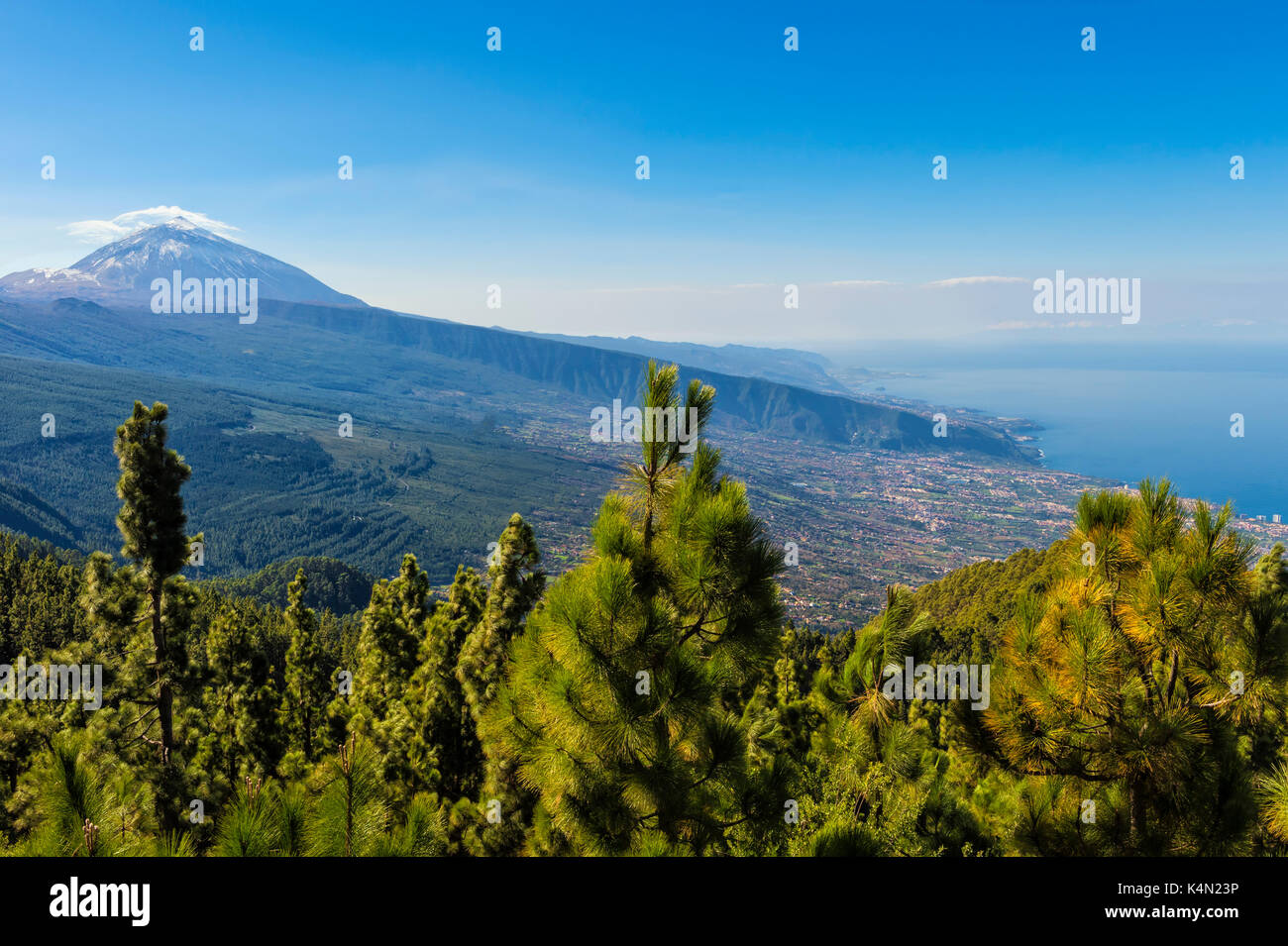 Blick auf den Vulkan Teide, Teide Nationalpark, UNESCO-Weltkulturerbe, Teneriffa, Kanarische Inseln, Spanien, Europa Stockfoto