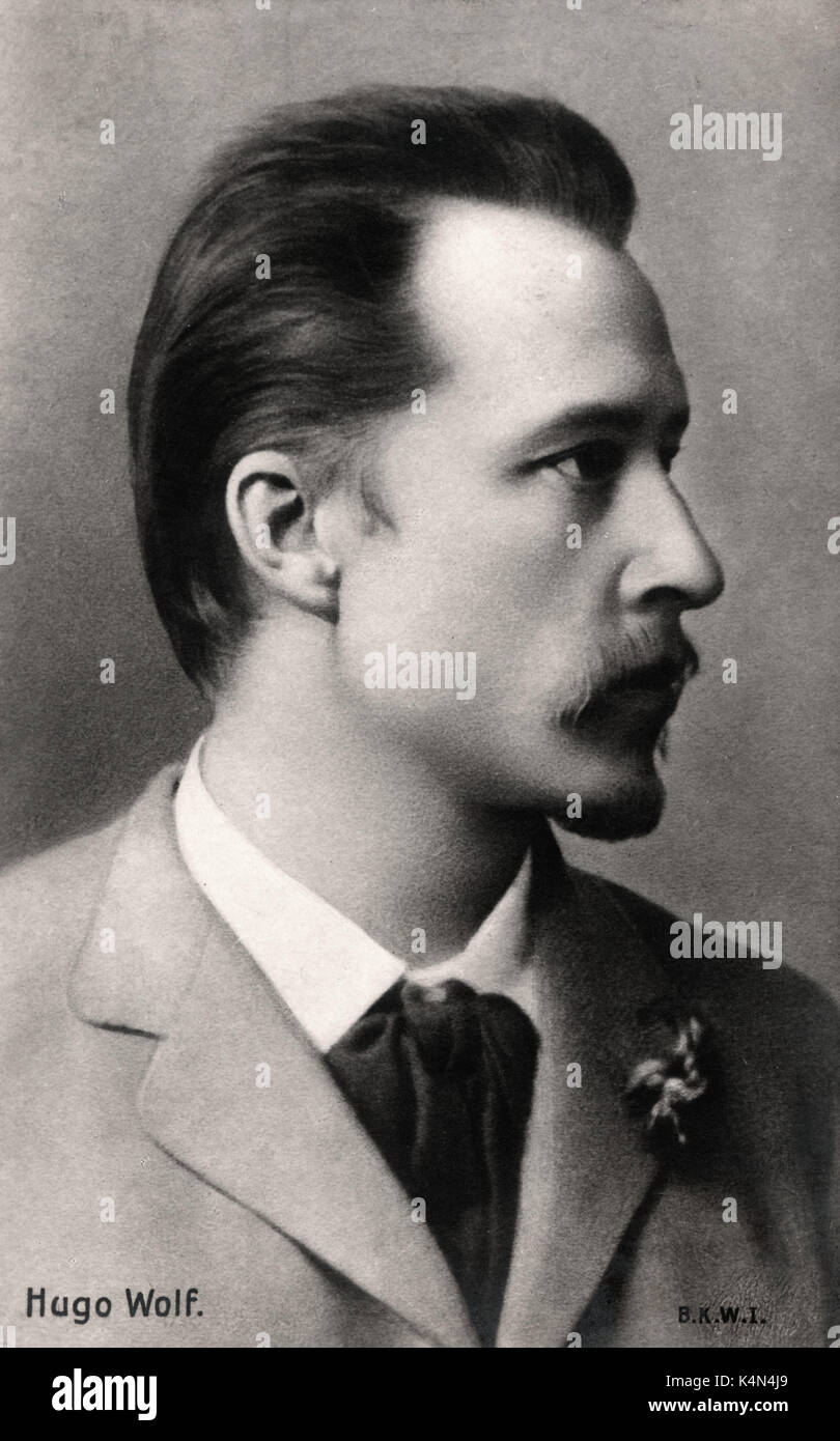 Hugo Wolf, Österreichischer Komponist, 1860-1903. Stockfoto