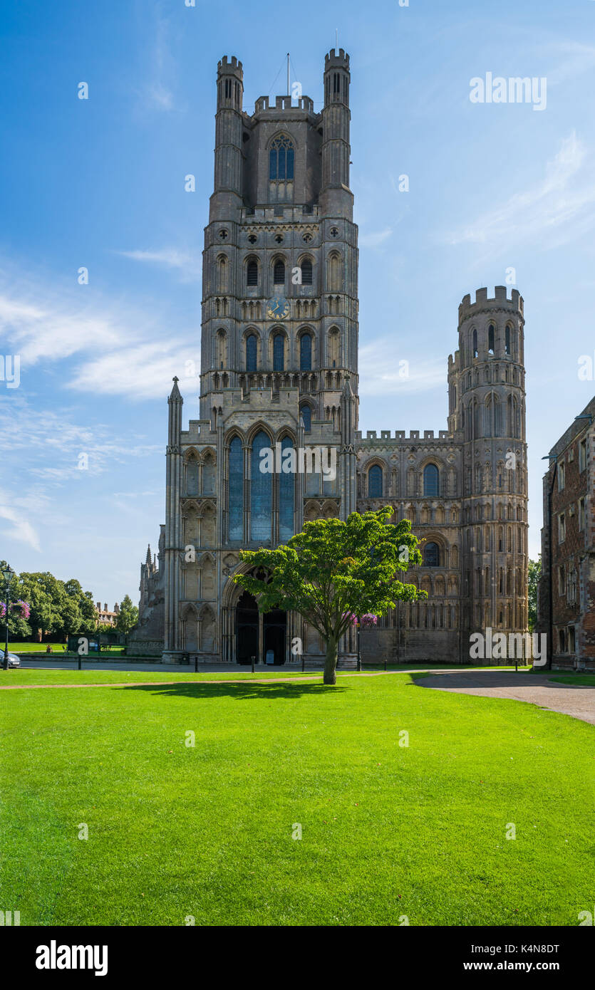 Anzeigen einer Kathedrale in Ely, Cambridgeshire, Großbritannien Stockfoto