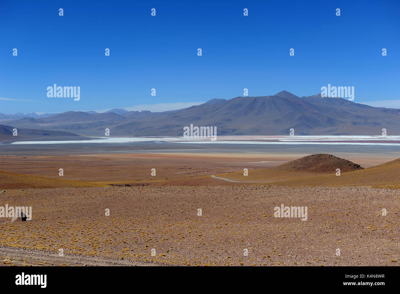 Die Wüstenhaft Landschaft des südlichen Bolivien mit der Laguna Colorada in der Ferne Stockfoto