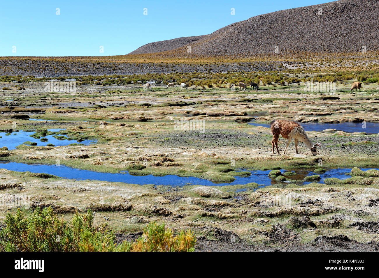 Bolivianischen Landschaft Stockfoto