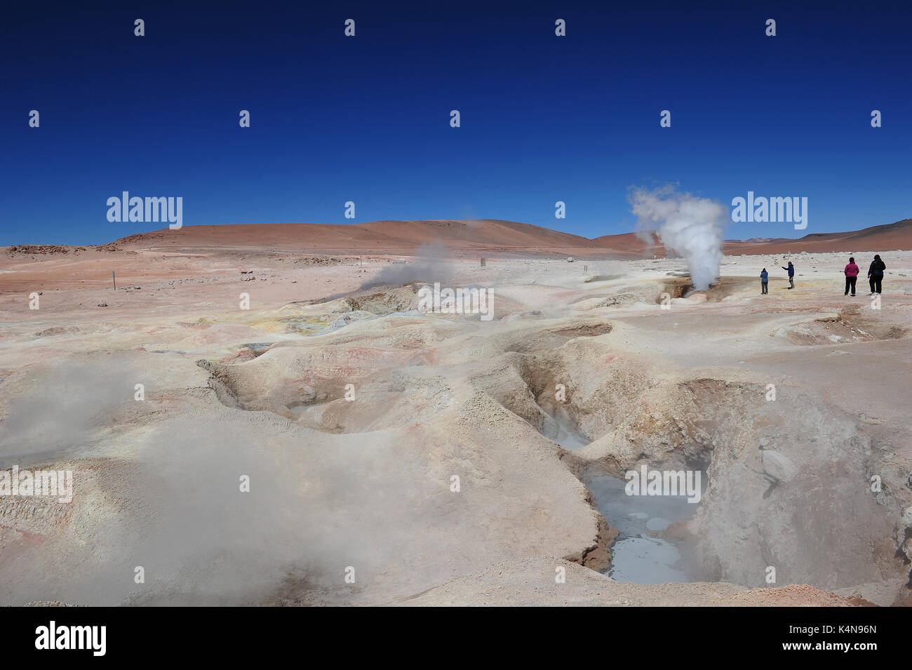 Das Sol de Manaña Geyser Basin (4850 m) im südlichen Bolivien Stockfoto