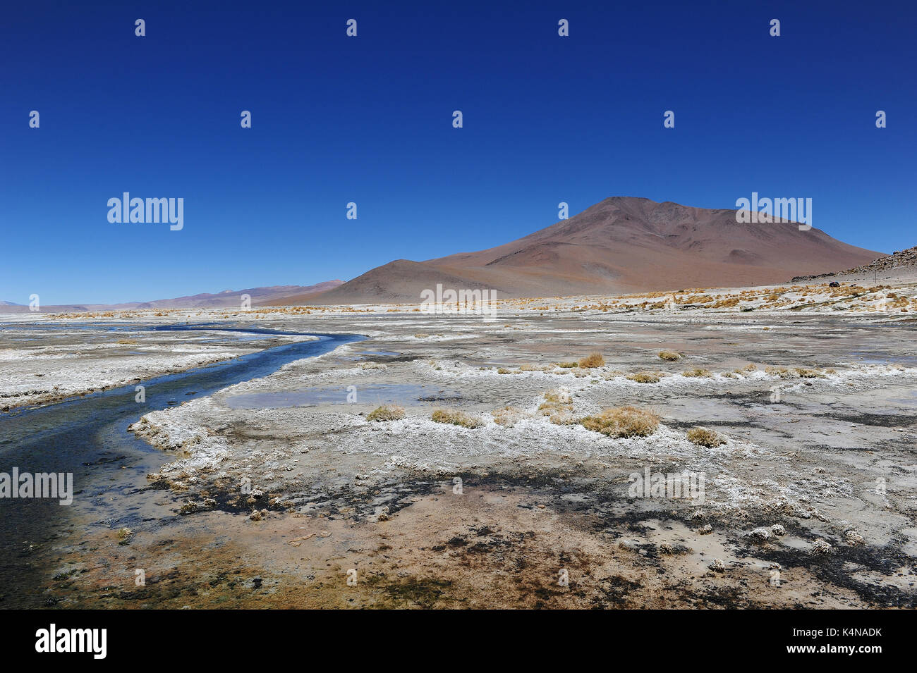 Termas de Polques Hot Springs, Reserva Nacional de Fauna Andina Eduardo Abaroa, südlichen Bolivien Stockfoto