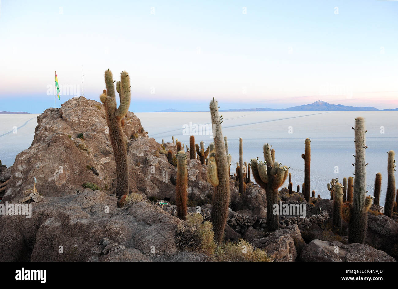 Sonnenaufgang auf dem Salar de Uyuni die Isla del Pescado, einer hügeligen und Felsvorsprung von Land in der Mitte des Salt Flats Stockfoto