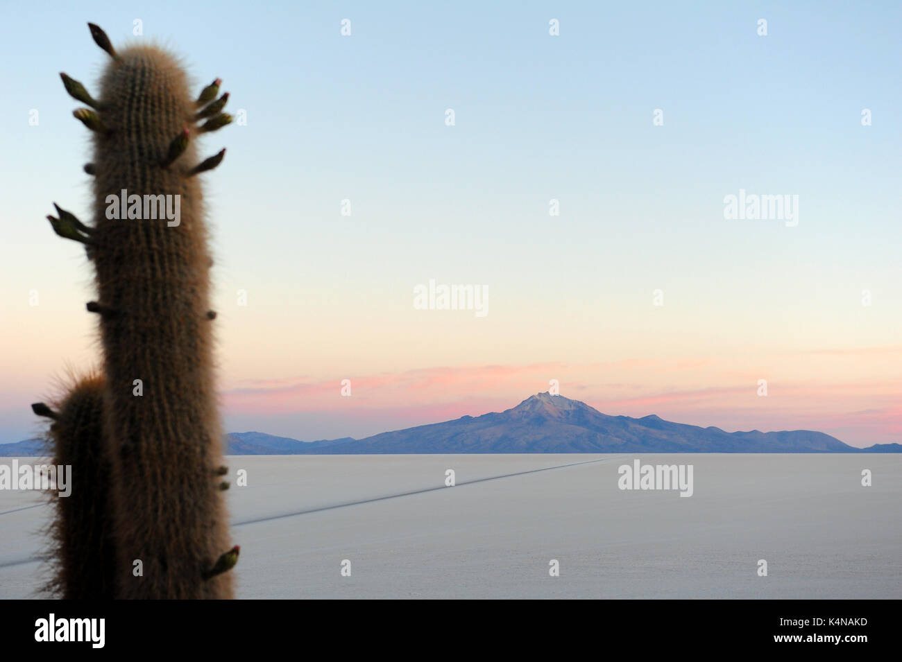 Sonnenaufgang auf dem Salar de Uyuni die Isla del Pescado, einer hügeligen und Felsvorsprung von Land in der Mitte des Salt Flats Stockfoto