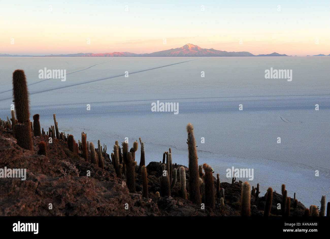 Sonnenaufgang auf dem Salar de Uyuni die Isla del Pescado, einer hügeligen und Felsvorsprung von Land in der Mitte des Salt Flats Stockfoto