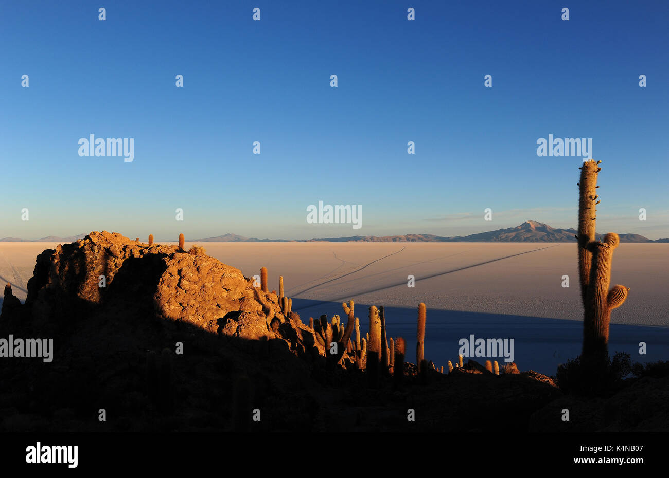 Sonnenaufgang auf dem Salar de Uyuni die Isla del Pescado, einer hügeligen und Felsvorsprung von Land in der Mitte des Salt Flats Stockfoto