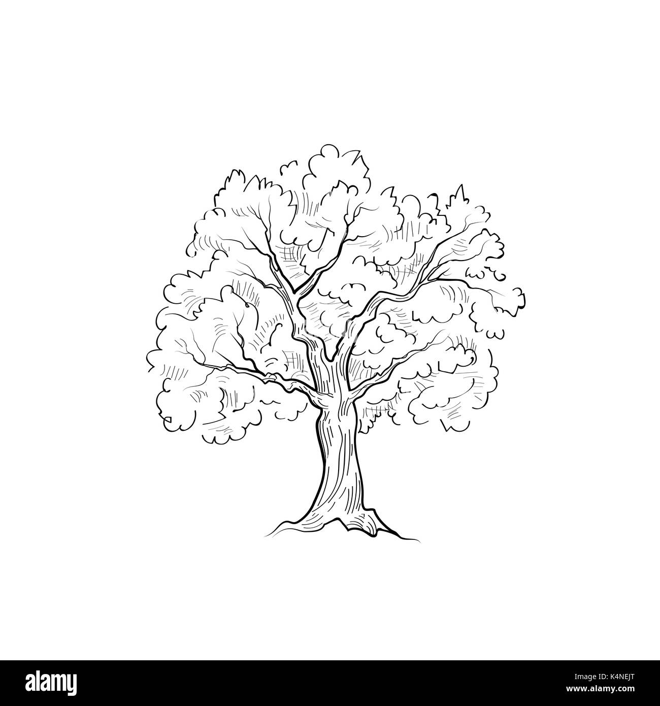 Baum mit Blättern isoliert. Natur zeichen Vektor Skizze Vektor Baum mit Blättern isoliert. Natur zeichen Vektor Skizze Vektor