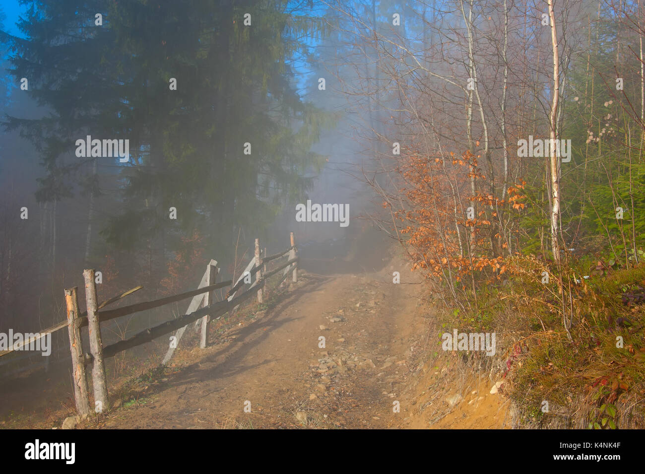 Landschaft Weg durch den nebligen Wald im Sonnenschein am Morgen Stockfoto