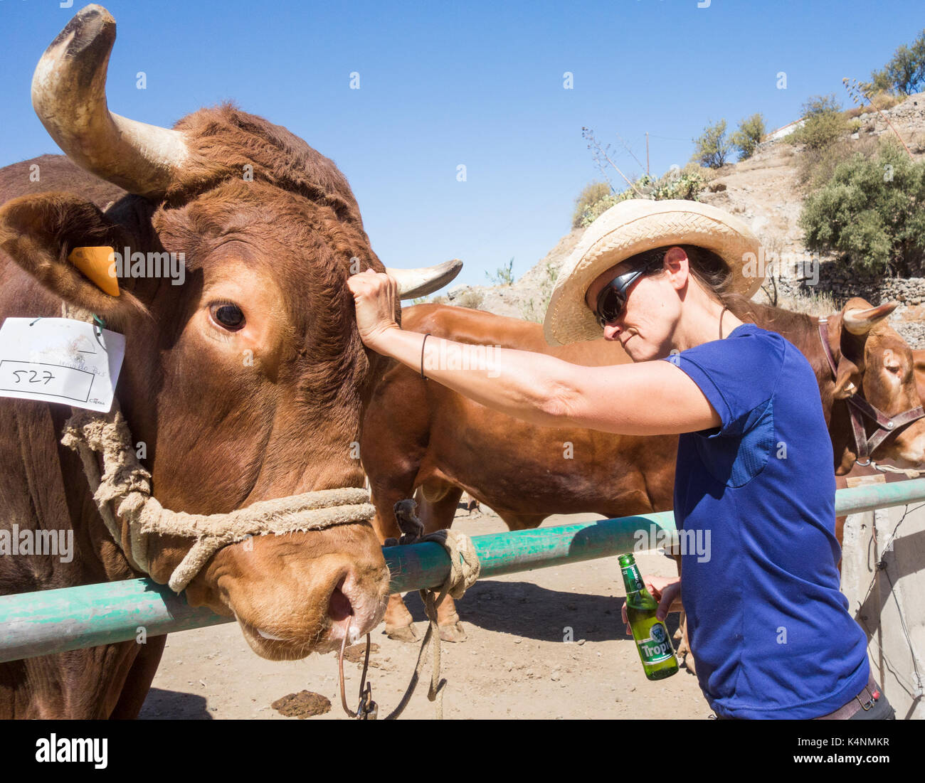 Spanisch Frau an Land zeigen in der Kanarischen Inseln. Stockfoto