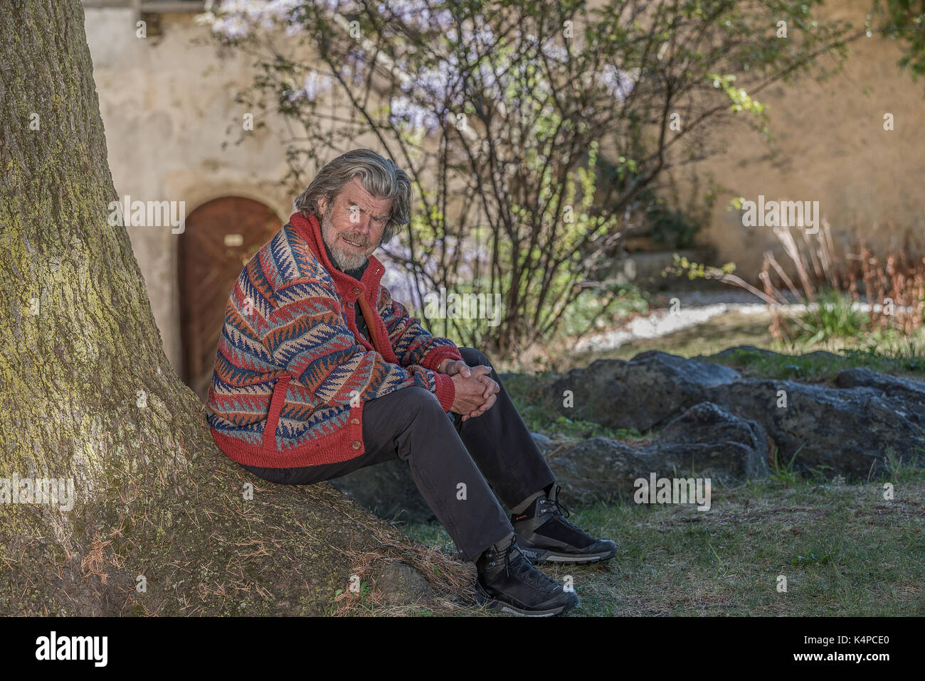 Alpinist Reinhold Messner unter seinem lieblingsbaum auf Schloss Juval in Südtirol, Italien Stockfoto