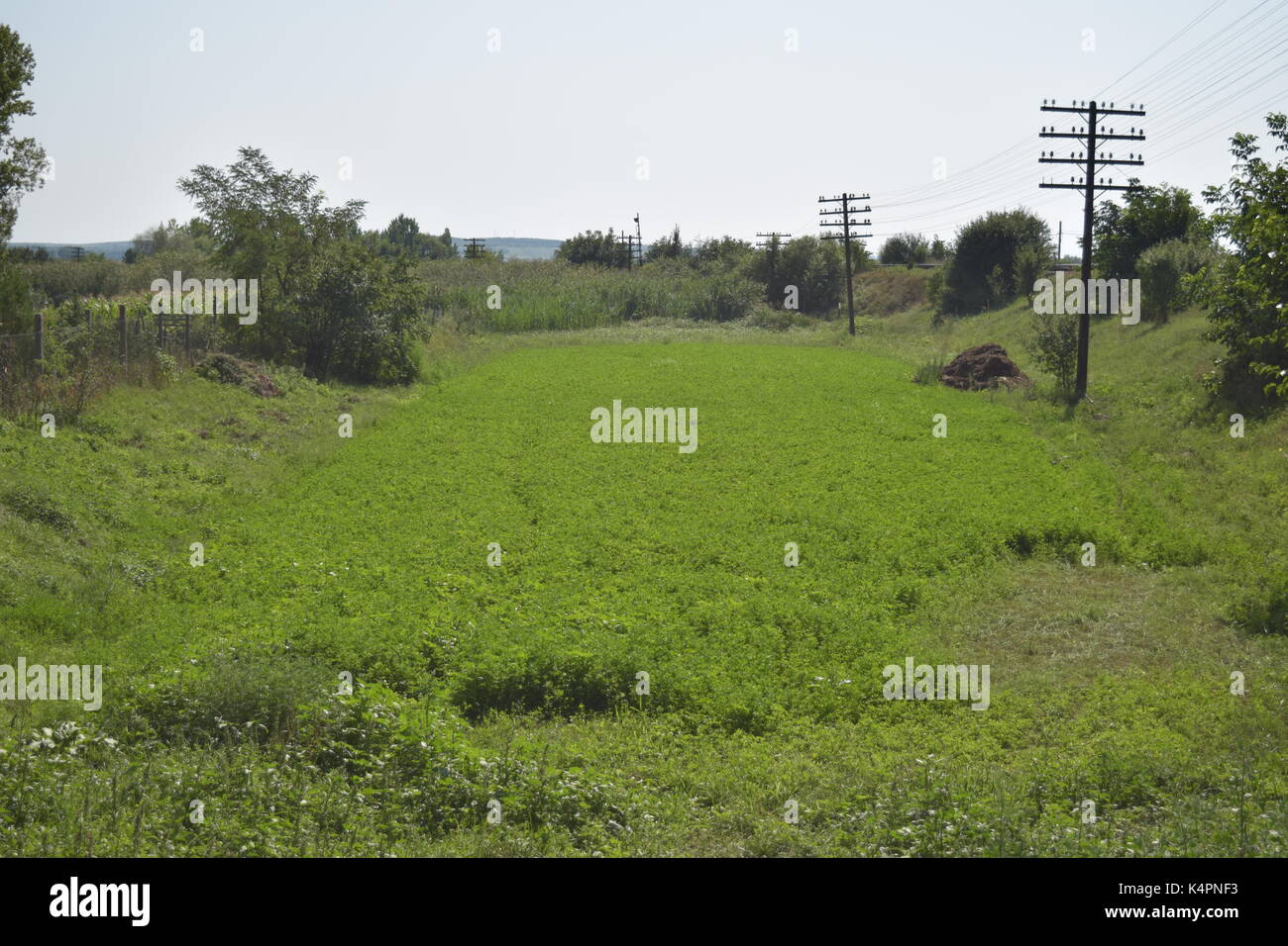 Wunderschöne grüne Landschaft mit Heu Stockfoto