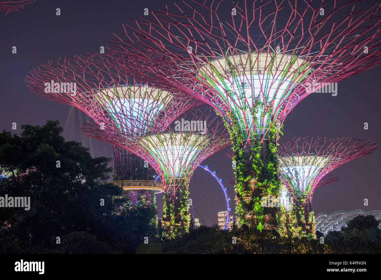 Beleuchtung Anzeige an die Supertrees an Gärten durch die Bucht südlich, Marina Bay, Singapore Stockfoto