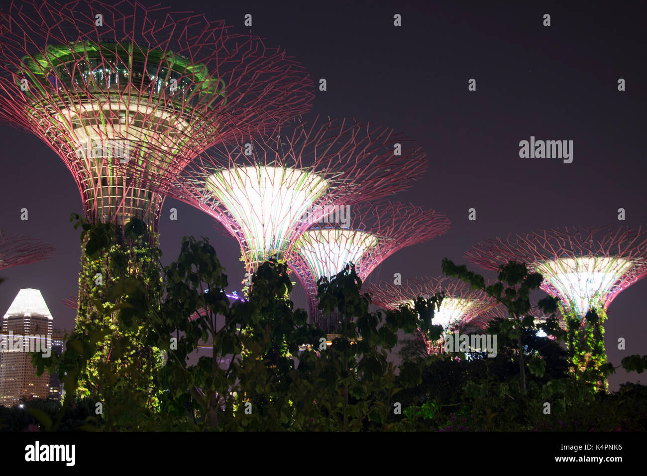 Beleuchtung Anzeige an die Supertrees an Gärten durch die Bucht südlich, Marina Bay, Singapore Stockfoto