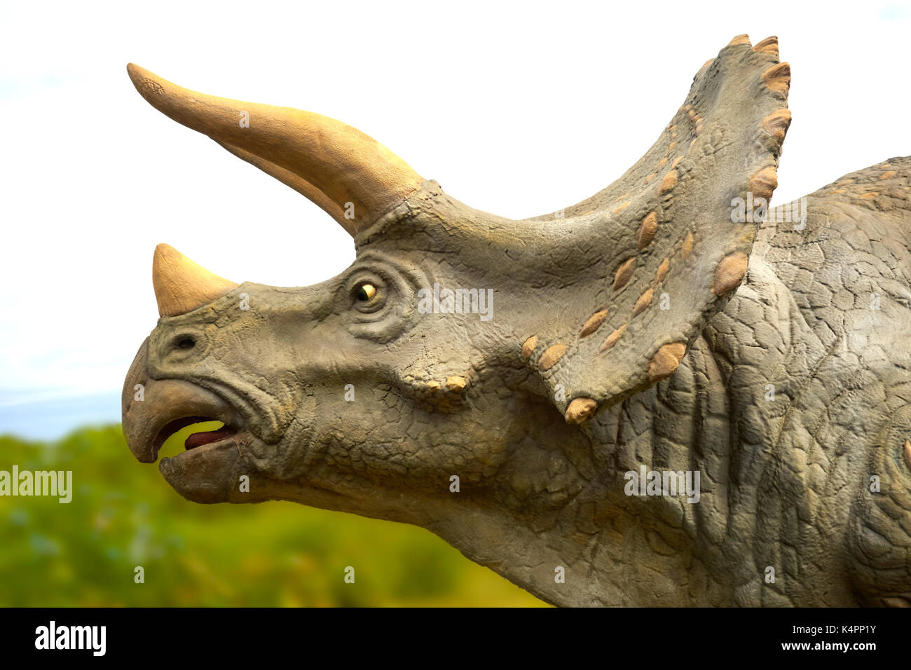 Modell der Triceratops bei Jurassic Museum von Asturien. Colunga. Spanien. Stockfoto