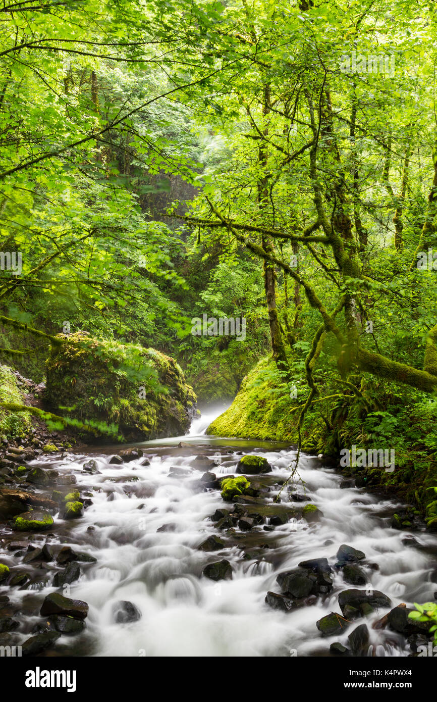 Bridal Veil Falls, in Columbia River Gorge National Scenic Area entfernt Stockfoto