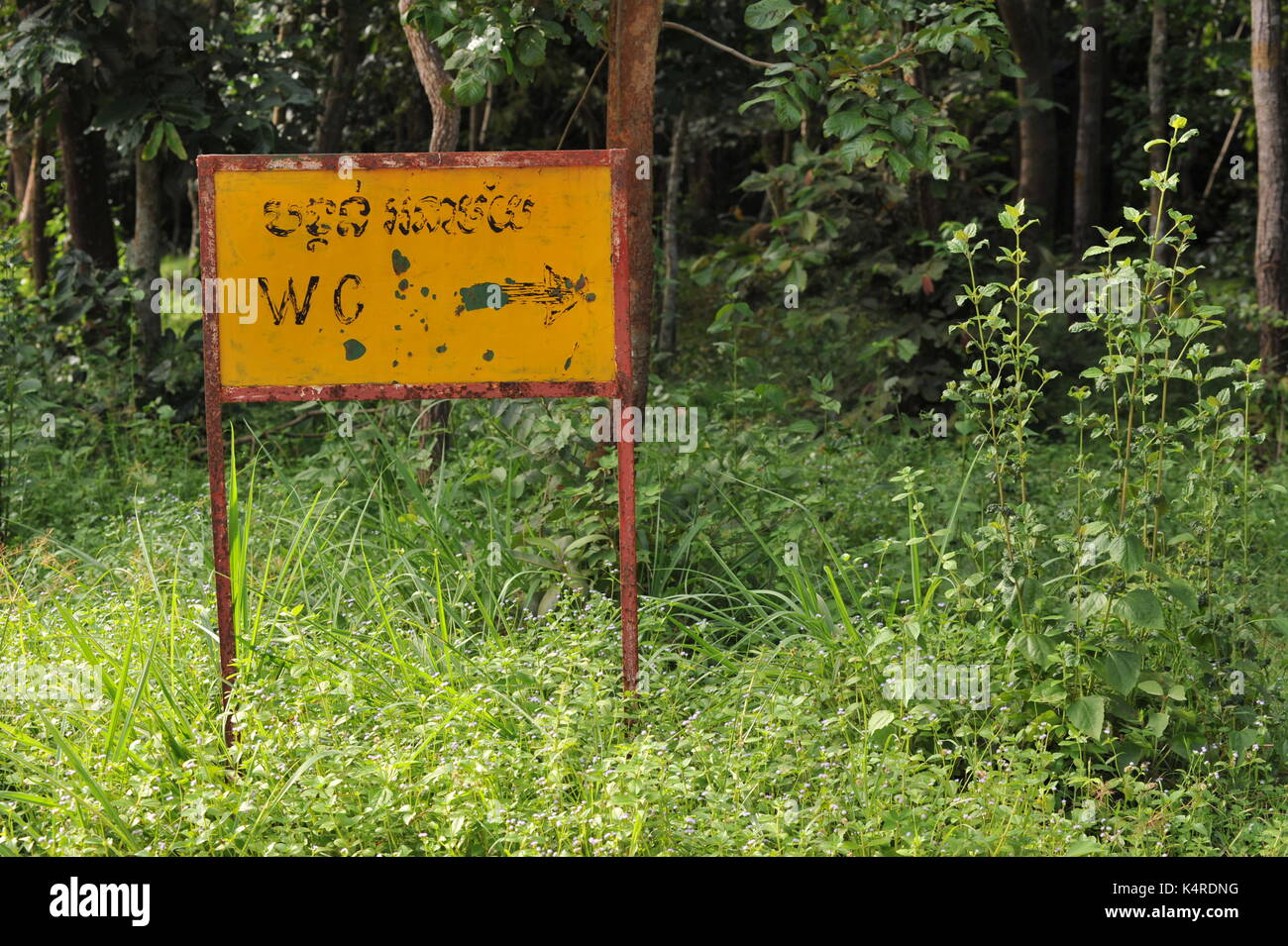 Alte verwitterte zweisprachige Wc (W. C) im Dschungel, Phnom Tamao Wildlife Rescue Center, Provinz Takeo, Kambodscha. Credit: Kraig Lieb Stockfoto