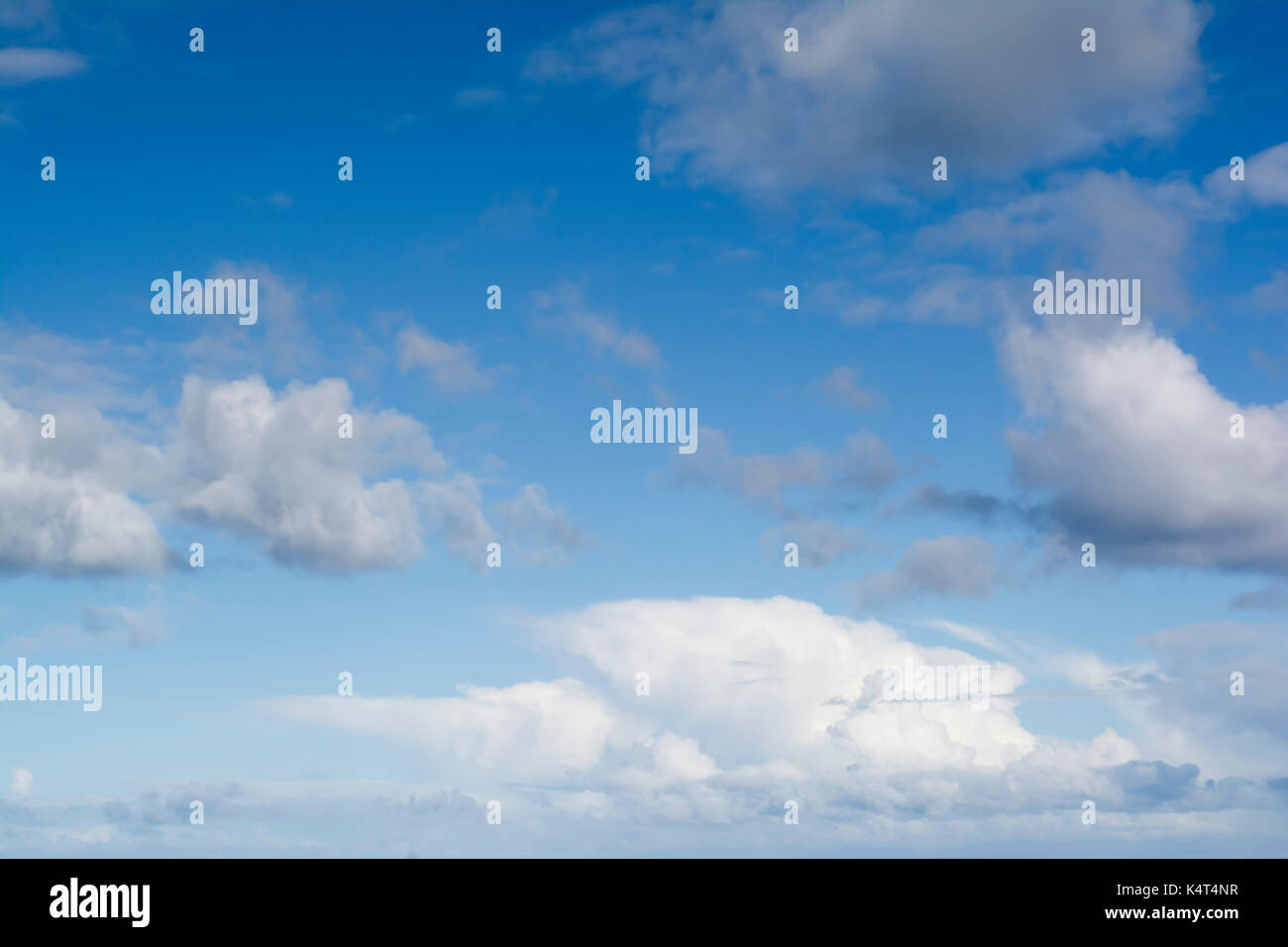 Geschwollene weiße Wolkenformationen gegen eine lebendige, aber natürlich Gradient blue sky. Geeignet für Hintergründe. Stockfoto