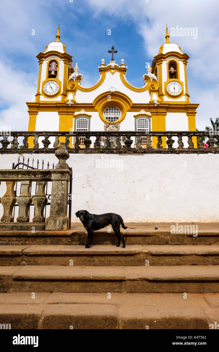Schwarzer streunender Hund vor Matriz de Santo Antonio Kirche, der ältesten und größten katholischen Tempel von Tiradentes, Minas Gerais, Brasilien. Stockfoto