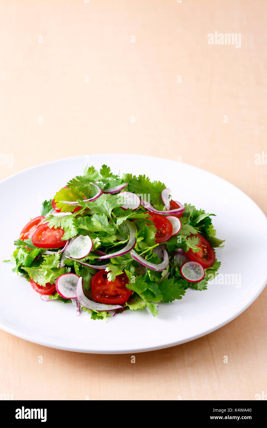 Koriander Salat Stockfoto