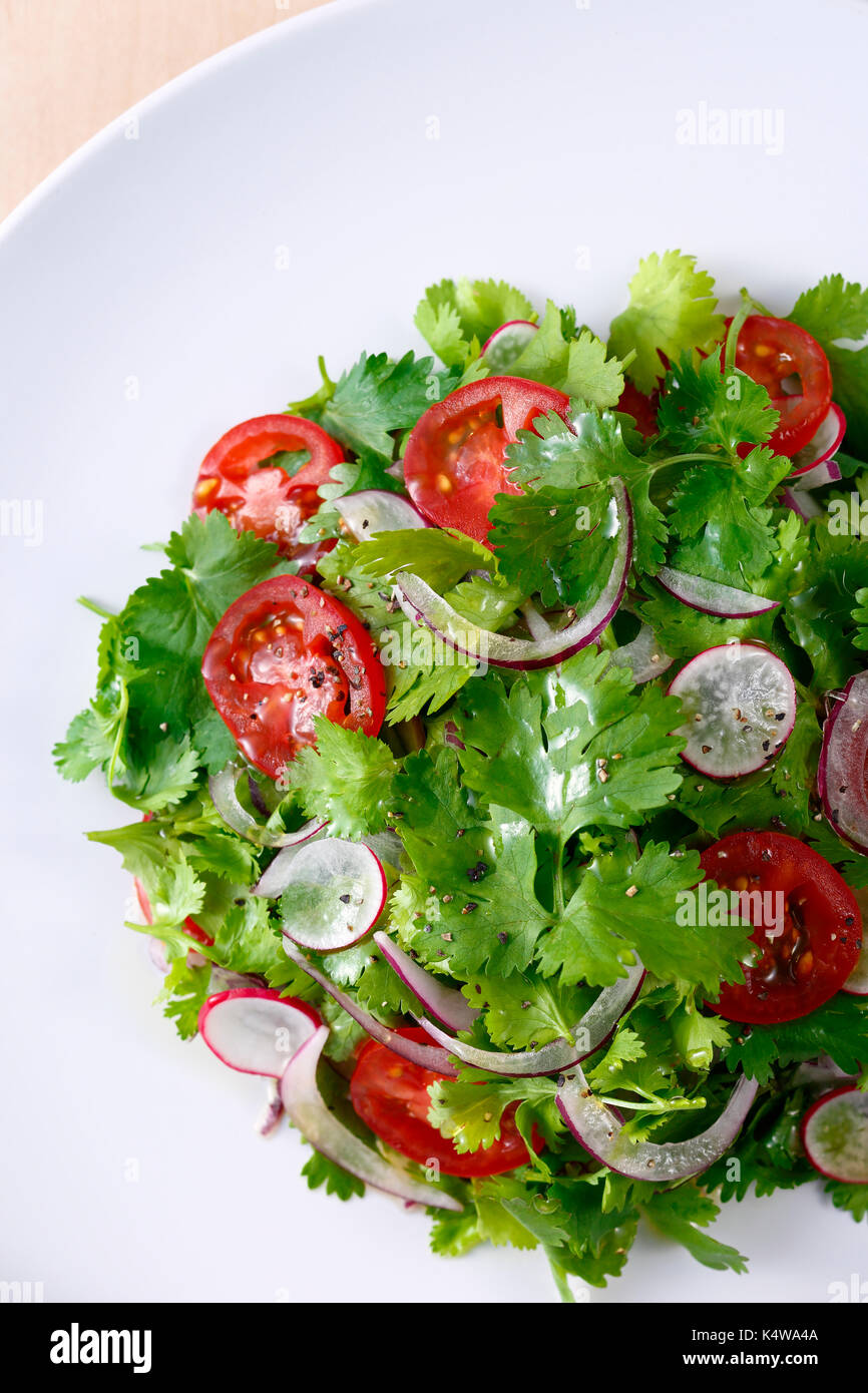 Koriander Salat Stockfoto