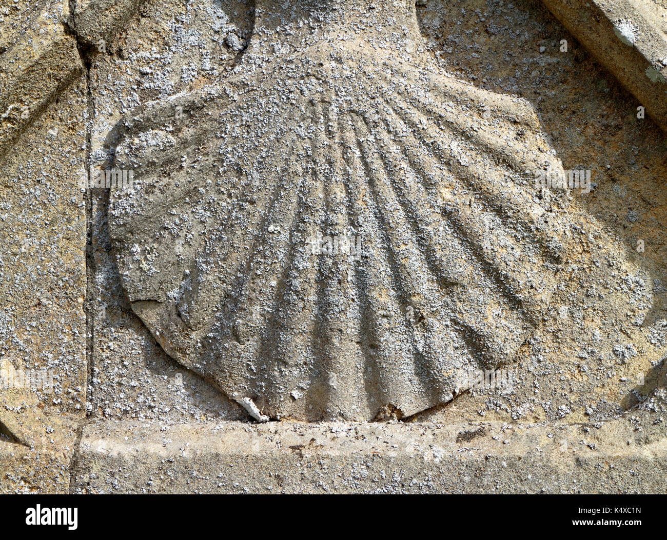 Ein Mauerwerk Jakobsmuschel Symbol des Hl. Jakobus in der Pfarrkirche von St. James an Southrepps, Norfolk, England, Vereinigtes Königreich. Stockfoto