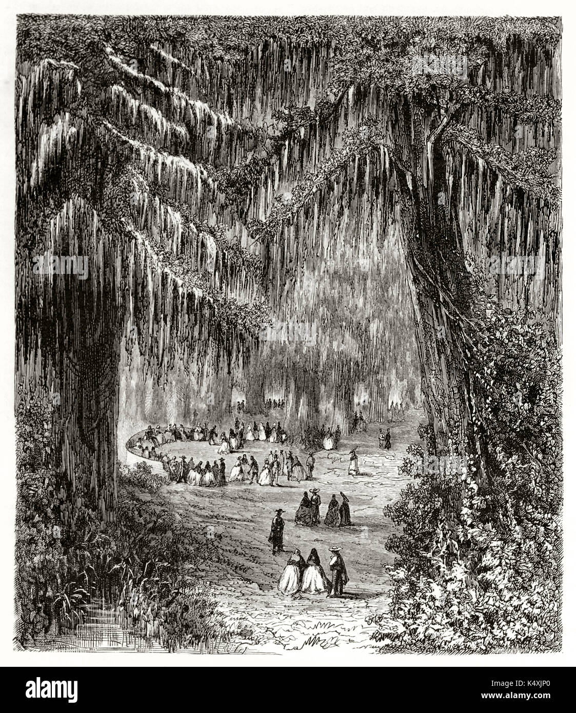 Kleine Gruppe von Menschen, die eine gute Zeit zwischen zwei riesigen zypressen in einem ehrfürchtigen Wald. Montezuma kahlen Zypressen Holz in Chapultepec Mexiko. Von Riou auf Le Tour du Monde Paris 1862 veröffentlicht. Stockfoto
