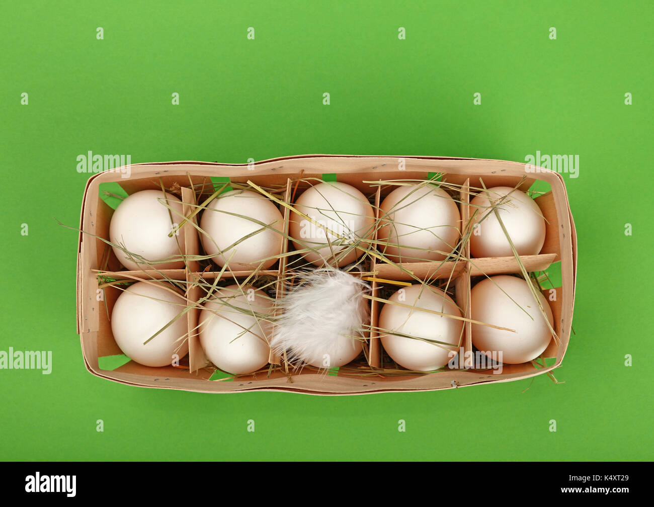 Zehn frische weiße Farm huhn eier in Holz- Container mit Heu und Feder auf grünem Hintergrund, erhöhte Ansicht von oben, direkt über Stockfoto