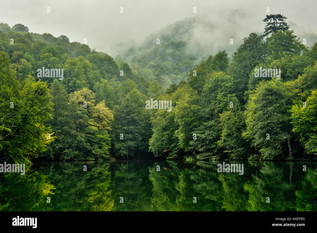 Ruhiger, nebelbedeckter Wald umgeben einen ruhigen, reflektierenden See, mit üppig grünen Bäumen und Nebel, der über die Hügel schlängelt, eine ruhige Szene Stockfoto