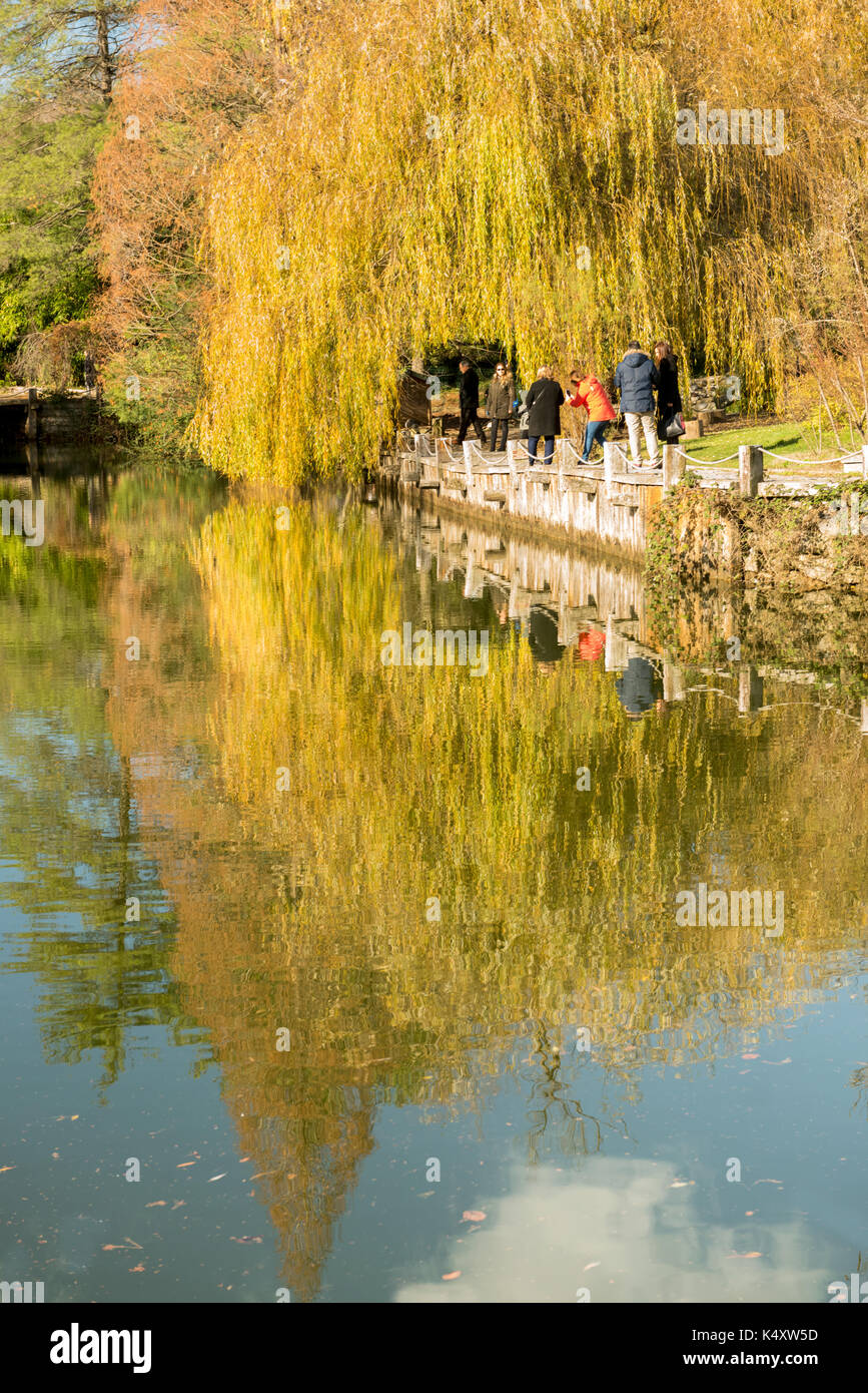 Herbst farbige Tress mit Reflexion an Park Istanbul Stockfoto