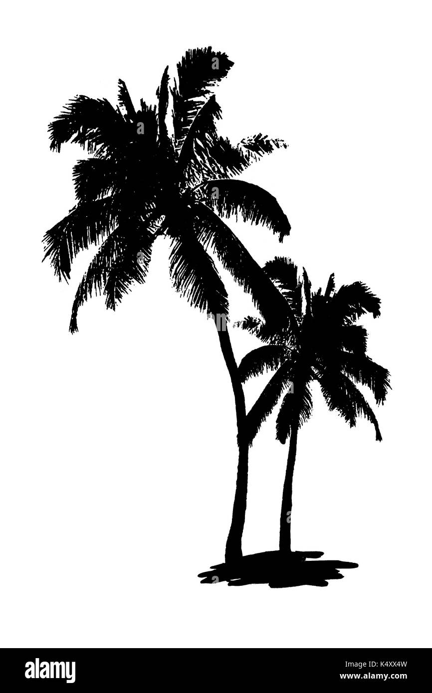 Schwarze Palme Silhouetten auf isoliert weißer Hintergrund Stockfoto