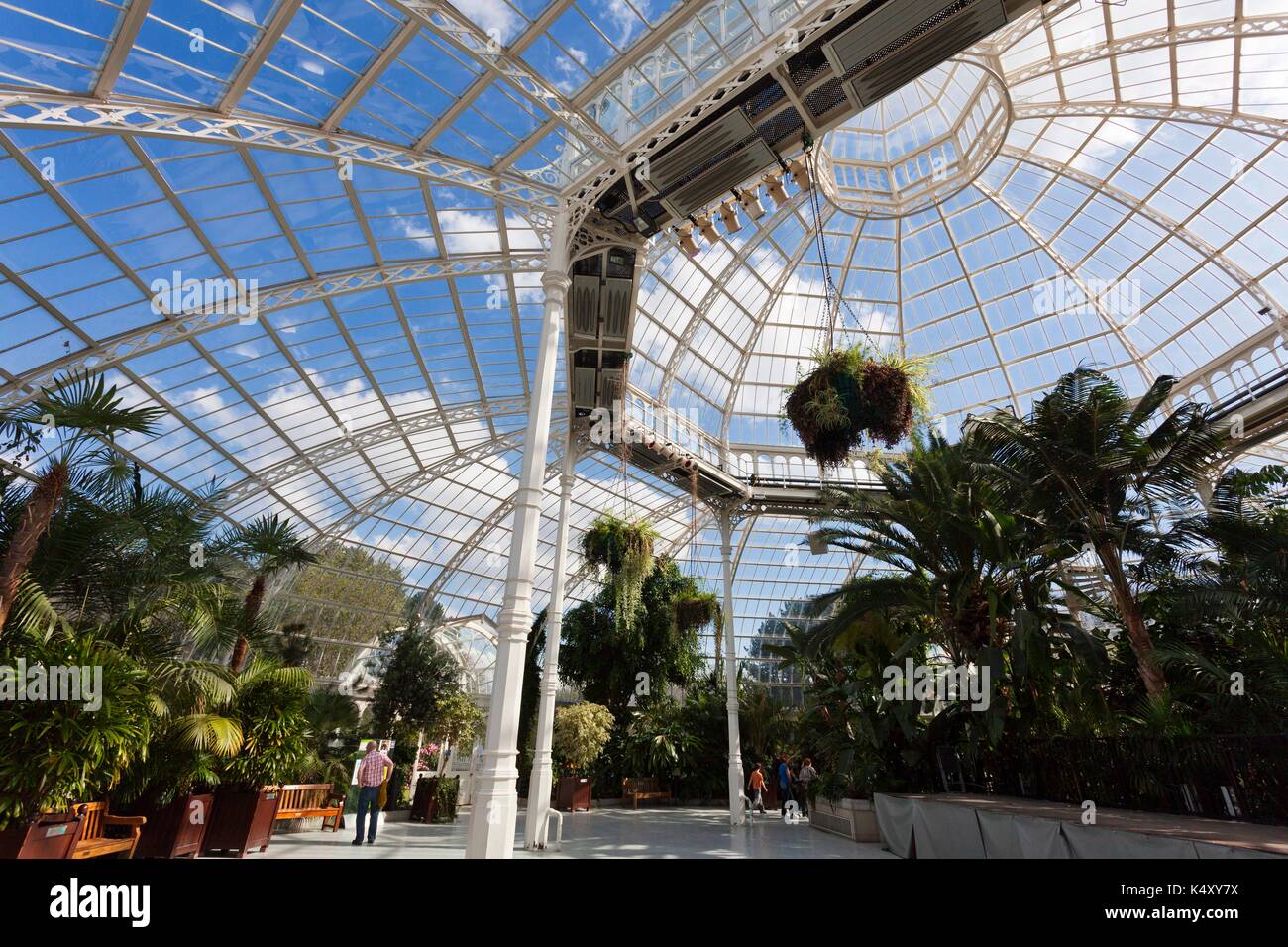 Die herrliche Eisen und Glas Palm House, Sefton Park, Liverpool, erbaut 1896 von Mackenzie und Moncur, Glasgow, und begabt von Henry Yates Thompson. Stockfoto