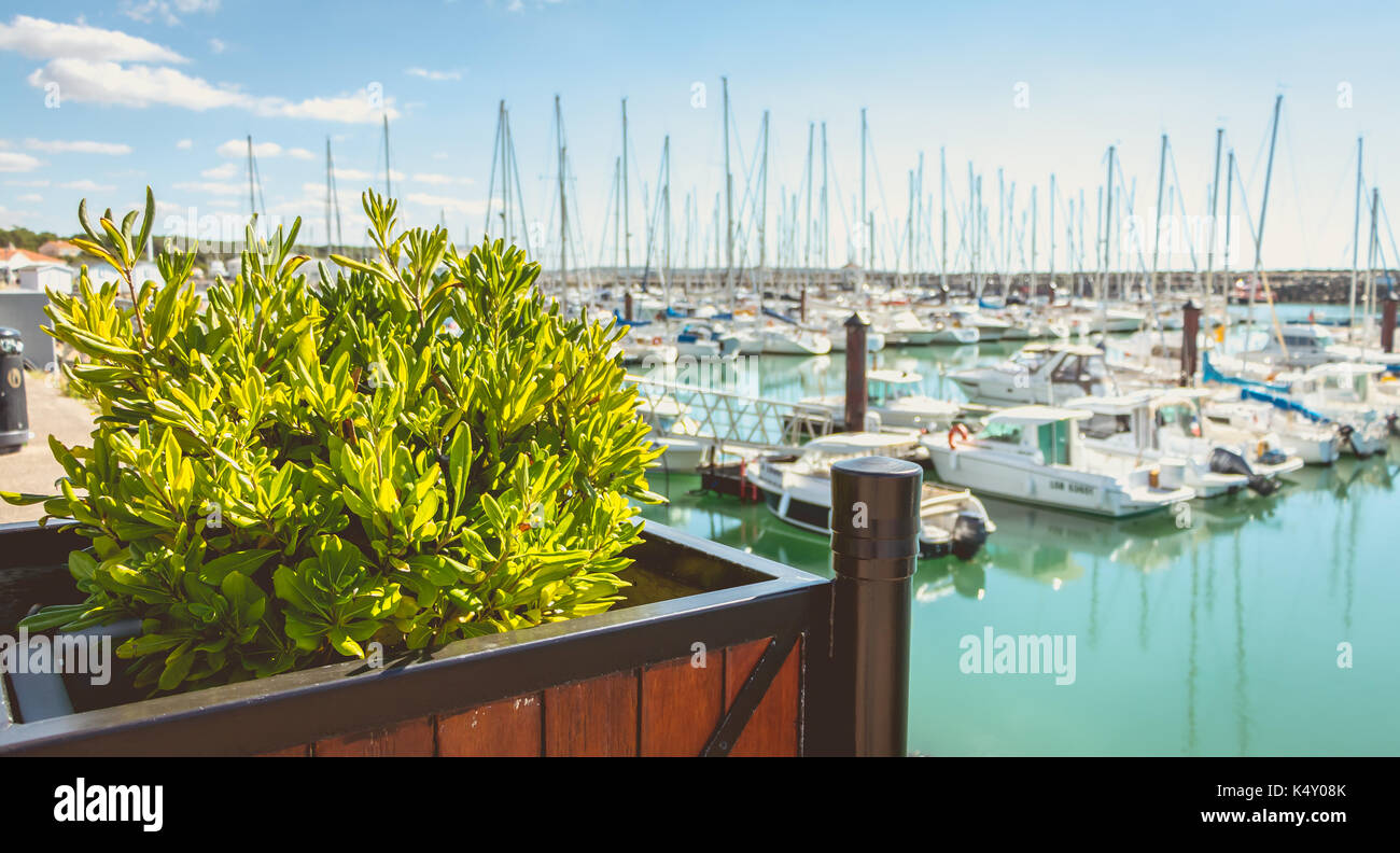 TALMONT saint hilaire, Frankreich - 23 September, 2016: Blick auf den Yachthafen von bourgenay Hafen mit seinen 650 Plätzen von Sportbooten. Seit dem 1. Apri geöffnet Stockfoto