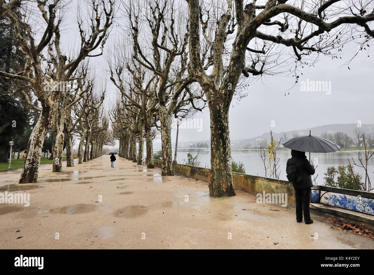 Mondego Fluss im Winter, Coimbra, Portugal (MR) Stockfoto
