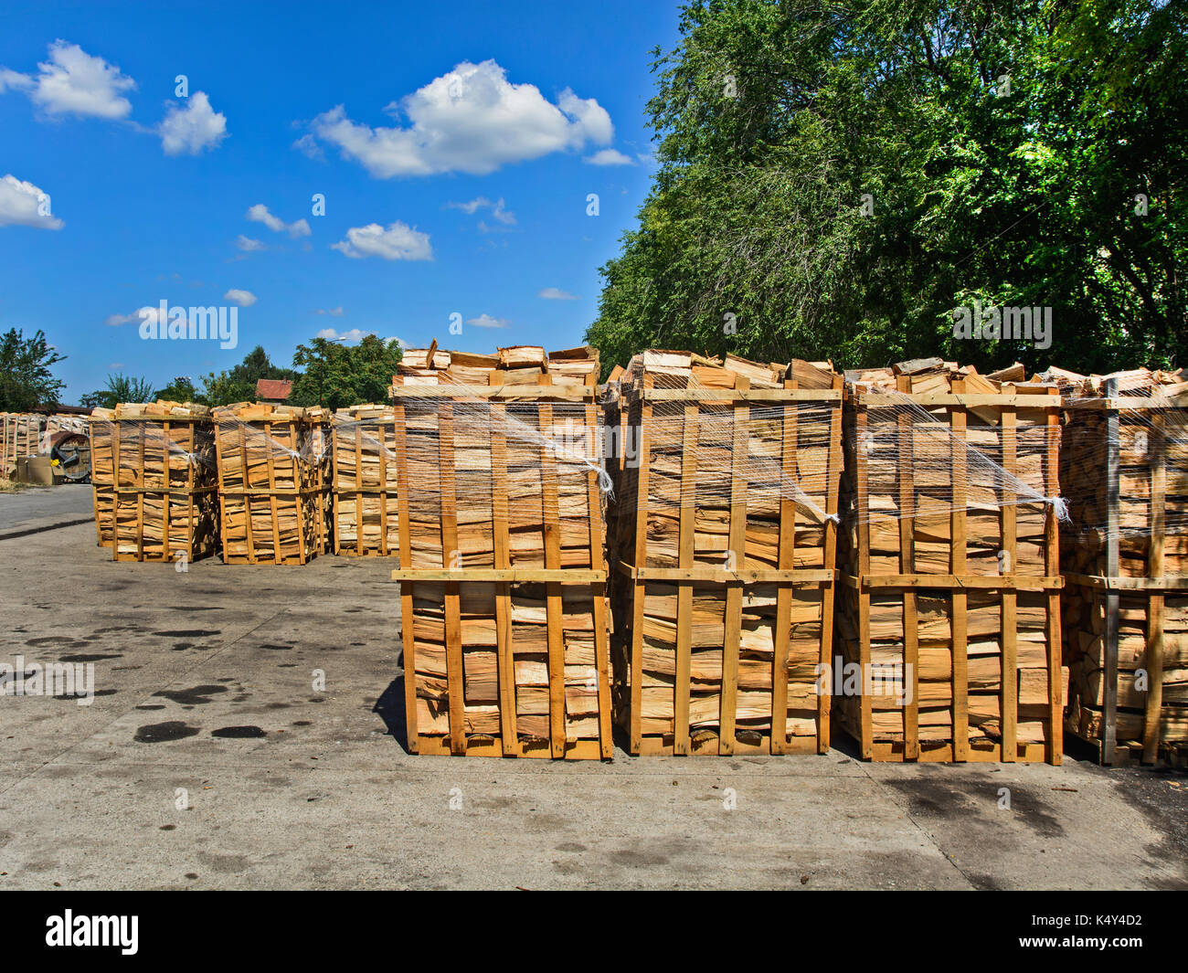 Holz im Depot, schneiden Sie die Protokoll- und zum Verkauf bereit. Stockfoto