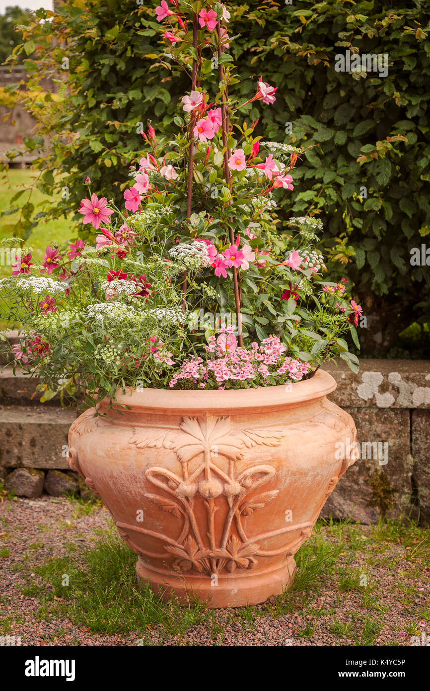 Bild von Vintage Blumentopf im Garten. Stockfoto