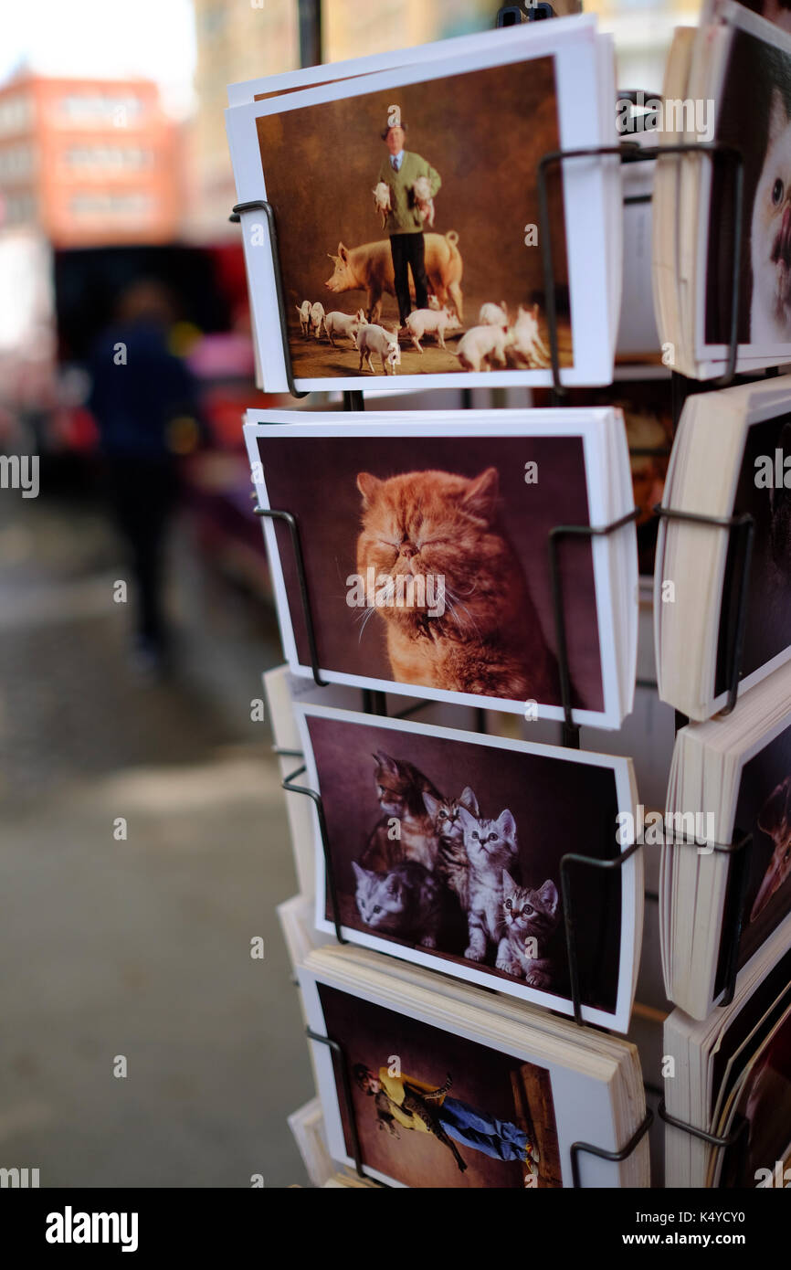 Animal Postkarten auf Verkauf in Porte de Vanves Straße Antik- und Flohmarkt in Paris, dem Marché aux Puces Stockfoto