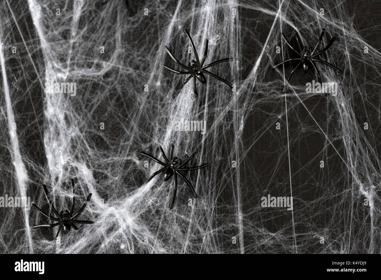 Halloween Dekoration der schwarzen Spielzeug Spinnen auf der web Stockfoto