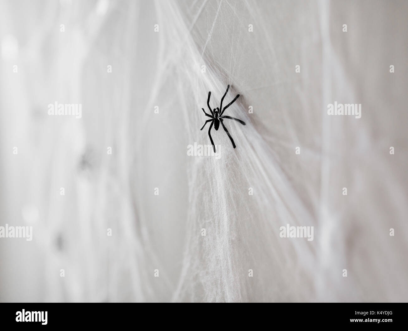 Halloween Dekoration der schwarzen Spielzeug Spinnen auf der web Stockfoto