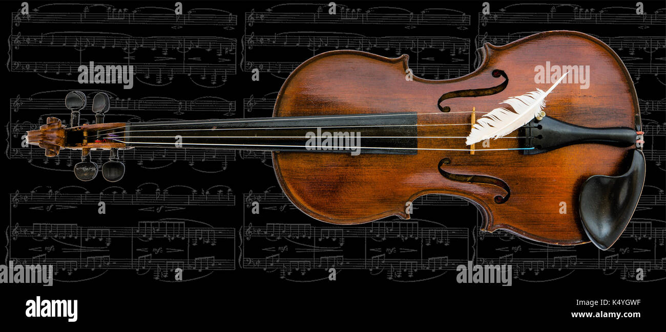 Collage, Geige mit einem Stift der weißen Vögel auf Streicher, vor einem schwarzen Hintergrund mit Noten fotografiert. Stockfoto