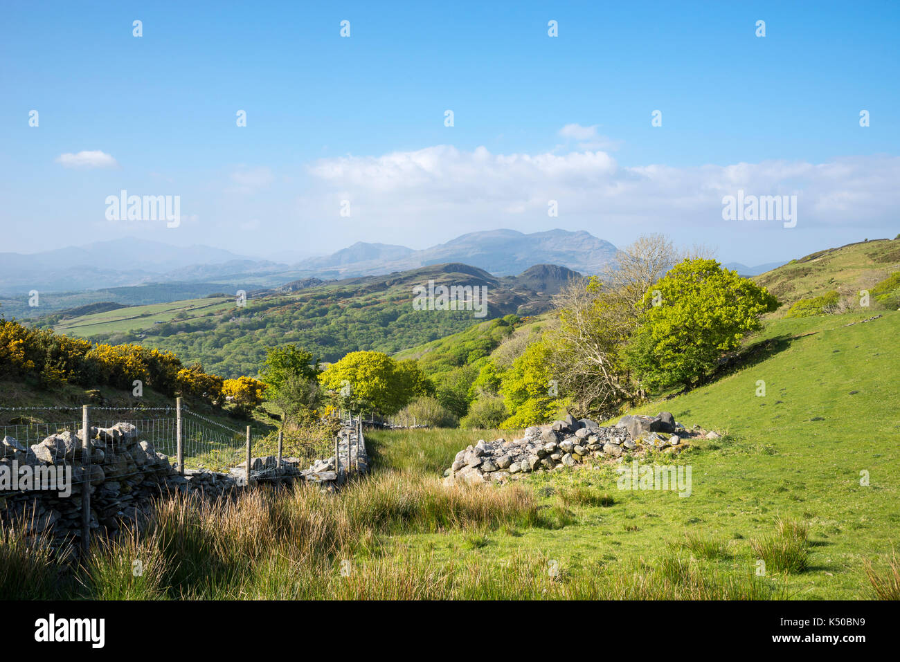 Ein sonniger Frühlingstag in den Hügeln in der Nähe von Harlech Llandecwyn im Norden von Wales. Blick auf die Berge in der Ferne. Stockfoto