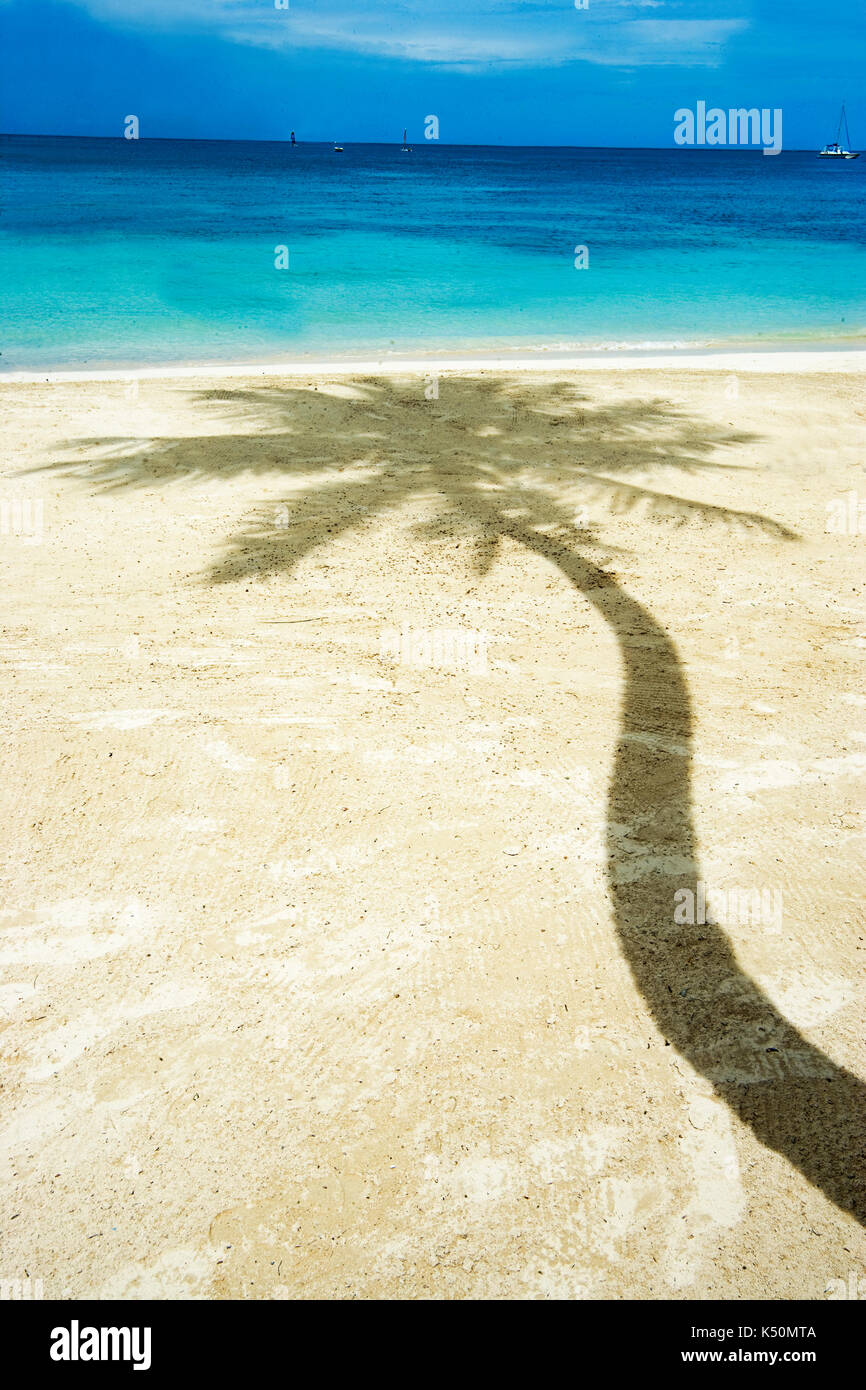 Der Schatten einer Palme, an einem schönen Strand Stockfoto