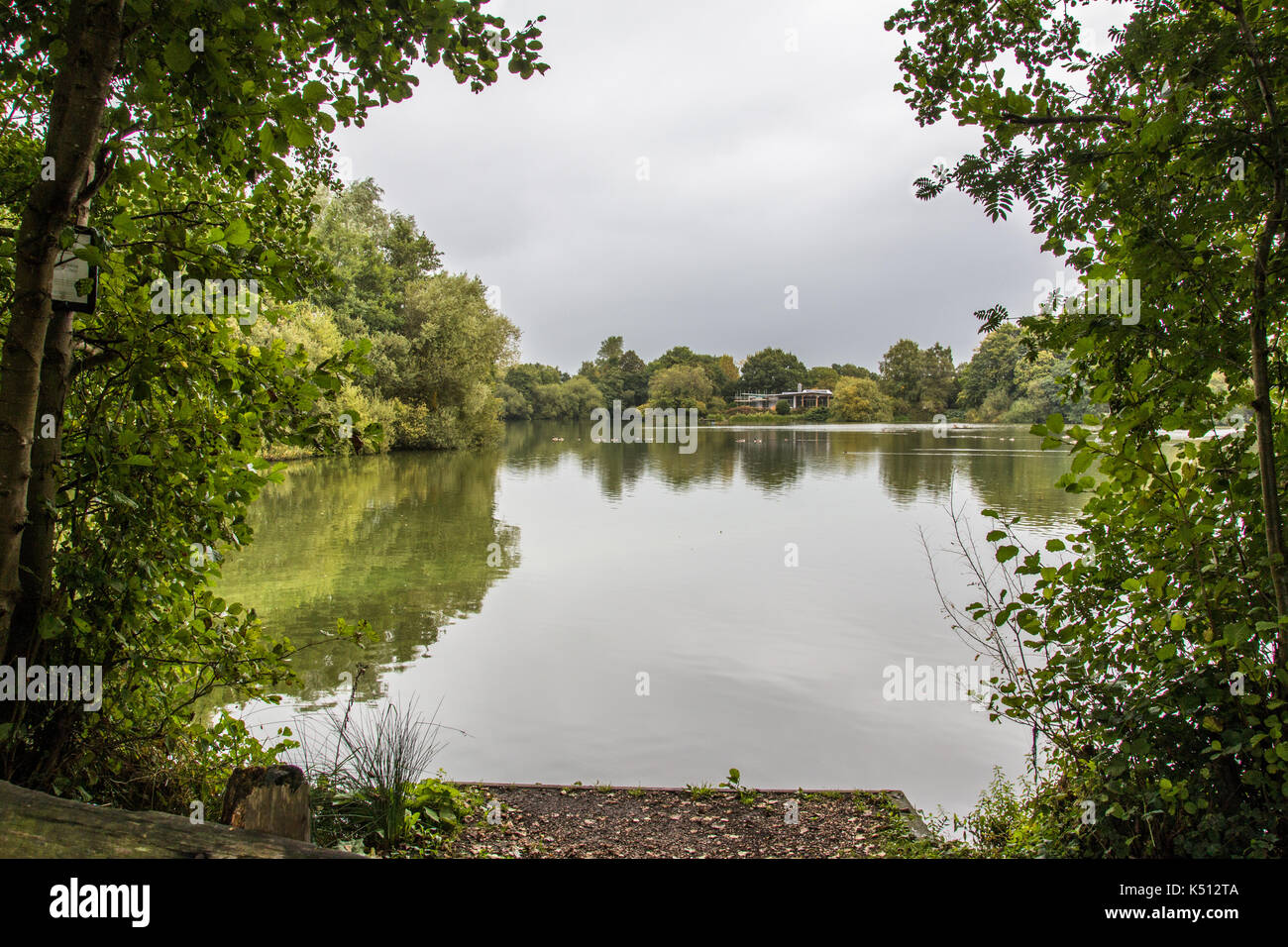 See Blick durch die Bäume auf den See vom Fischen Plattform. Hilton Kiesgruben Naturschutzgebiet Hilton Derbyshire. Stockfoto