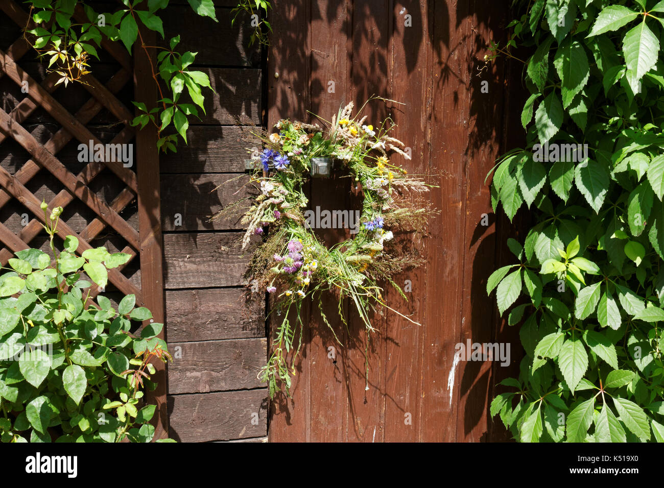Kornblumen in Kranz auf die hölzerne Tür Stockfoto