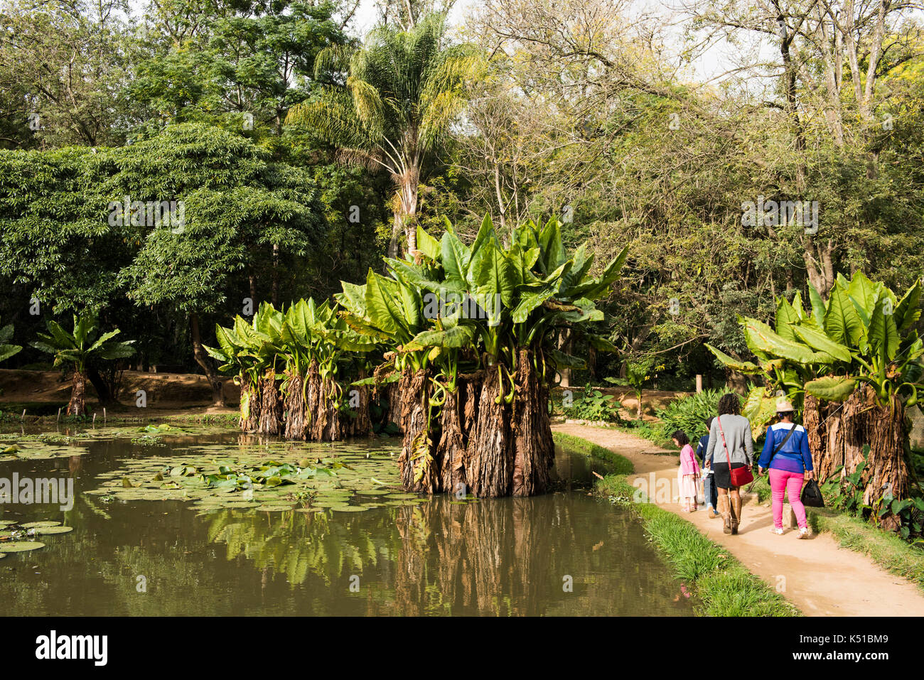 See im Botanischen und Zoologischen Gartens von Tsimbazaza, Antananarivo, Madagaskar Stockfoto